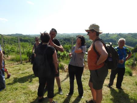 12. pohod Pomlad v prleških goricah Dan odprtih kleti in veselih ljudi, 28.5.2016 92